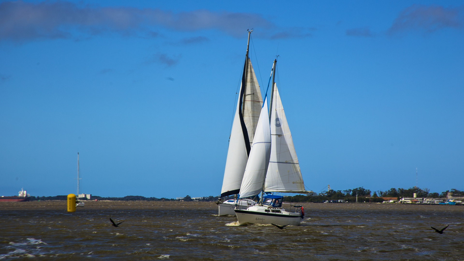 Regata Farroupilha 2025